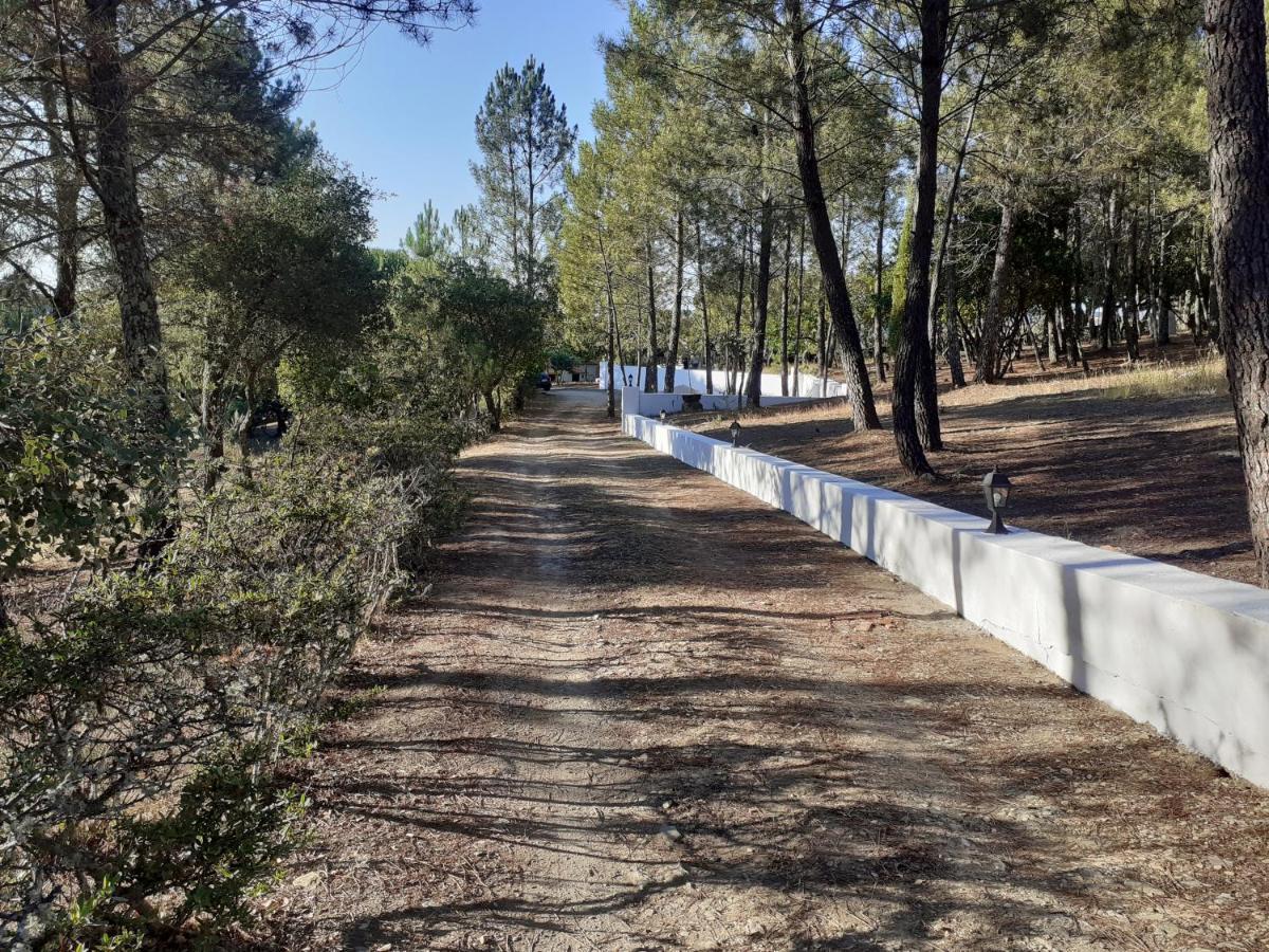 Quinta Das Lameirinhas Marvão Dış mekan fotoğraf