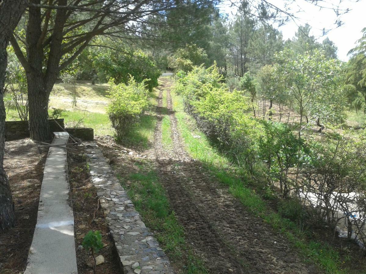 Quinta Das Lameirinhas Marvão Dış mekan fotoğraf