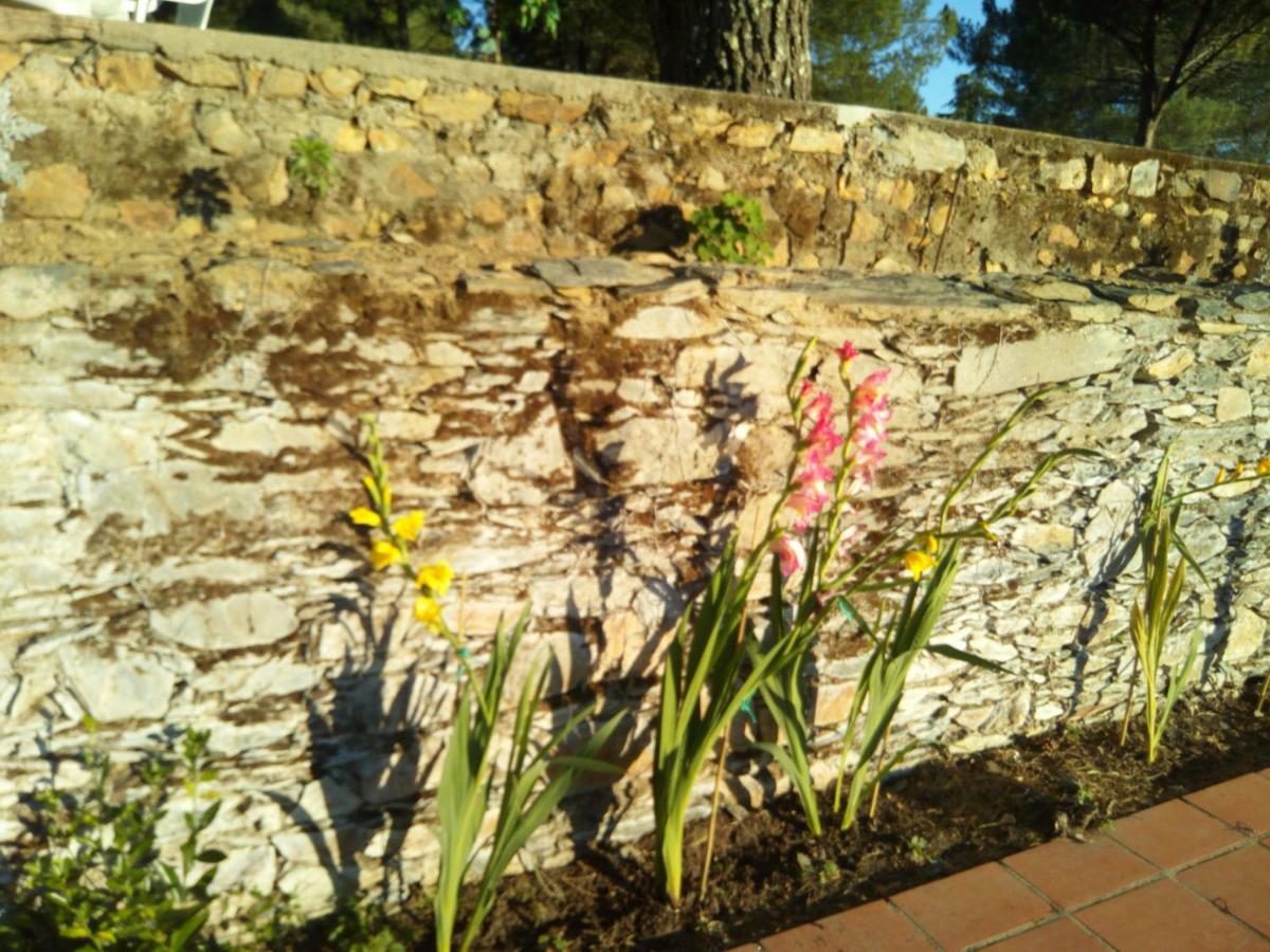 Quinta Das Lameirinhas Marvão Dış mekan fotoğraf